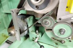 IMG_20240124_145245 IMG_20240124_145245