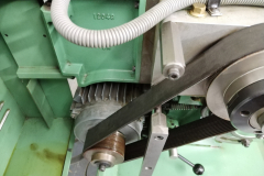 IMG_20240124_145249 IMG_20240124_145249