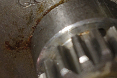 IMG_20260413_145259819