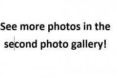 Gallery-More-Photos